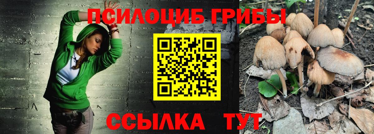 Псилоцибиновые грибы Cubensis  Вход с VPN  Богданович  Псилоцибиновые грибы Psilocybine cubensis 